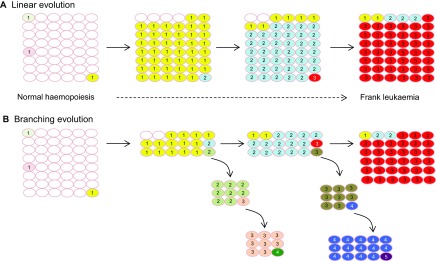 3-MA’RUZA. CHIZIQLI VA TARMOQLANUVCHI ALGORITMLAR